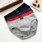 Men's cotton underwear plus size fat guy boxers breathable 3D seamless sexy youth cotton red boxers