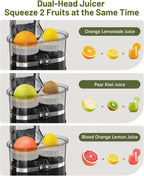 Dual Head Electric Juicer