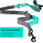 A gray and teal dog leash with black metal hardware, shown on a white background with a teal text box that reads 'EASY TO GRAB HANDLES'.

