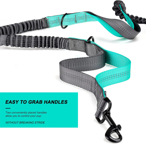 A gray and teal dog leash with black metal hardware, shown on a white background with a teal text box that reads 'EASY TO GRAB HANDLES'.

