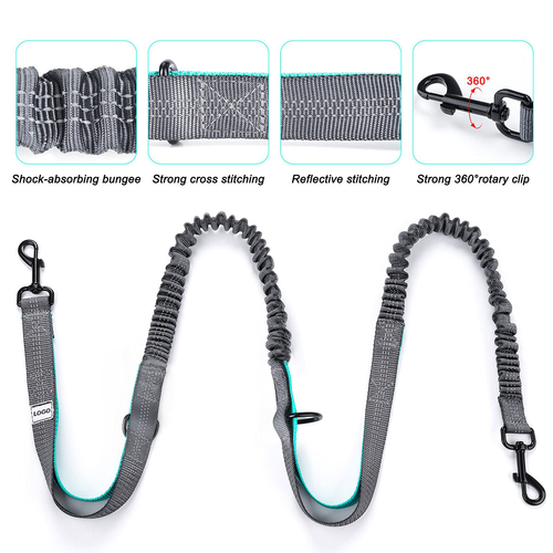 Dog leash with features highlighted on a white background